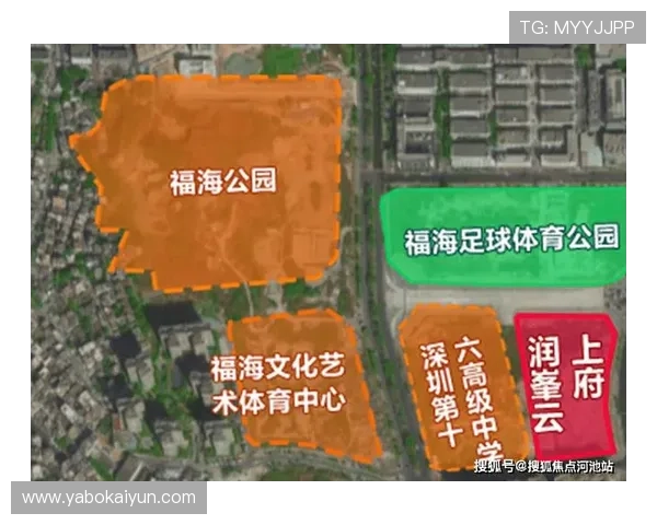 获取开云体育最新官方下载地址的详细途径与方法介绍